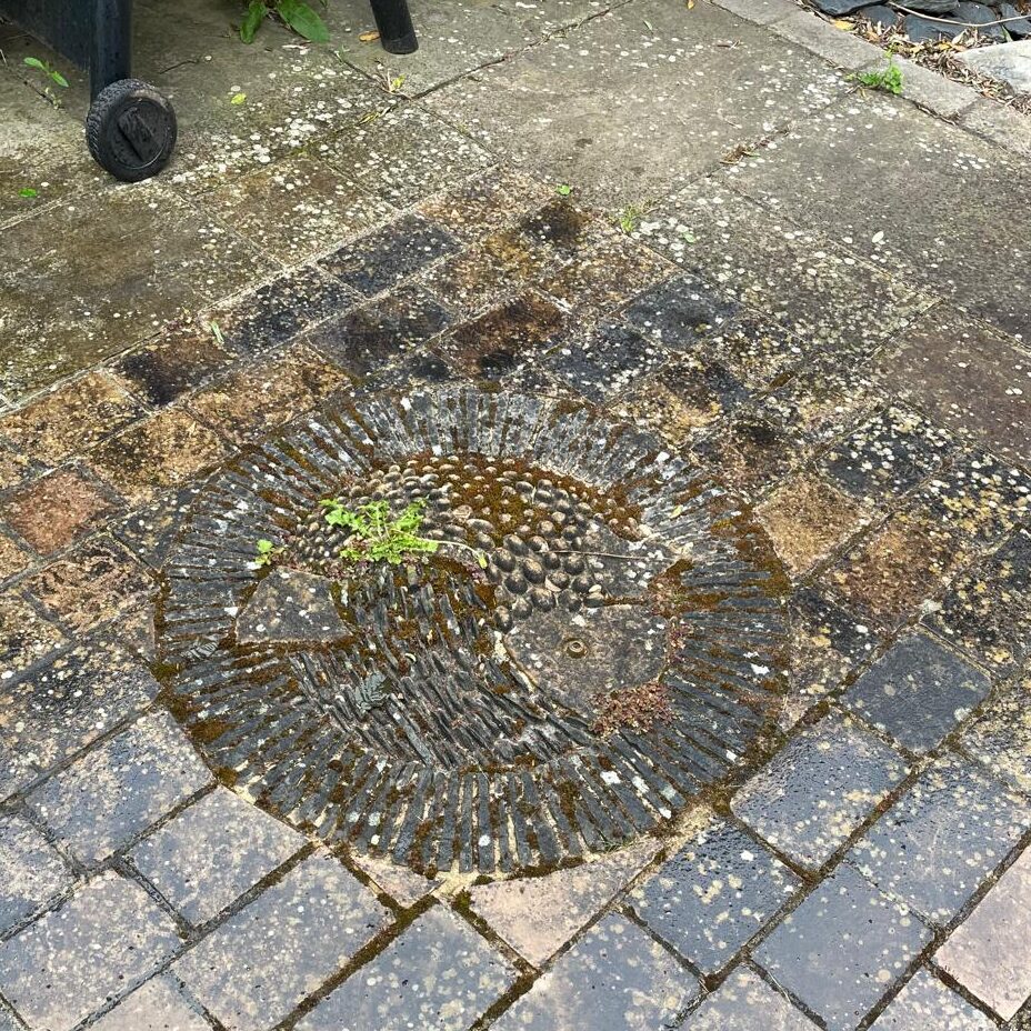 Before exterior Cleaning image in cobham